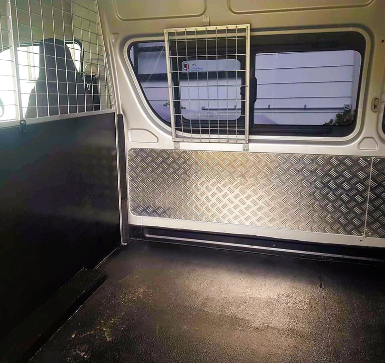 Dogs training during adventure walk